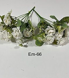 EM-66