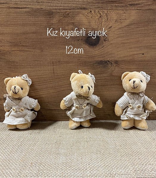 12CM BEJ EKOSELİ KIZ AYICIK