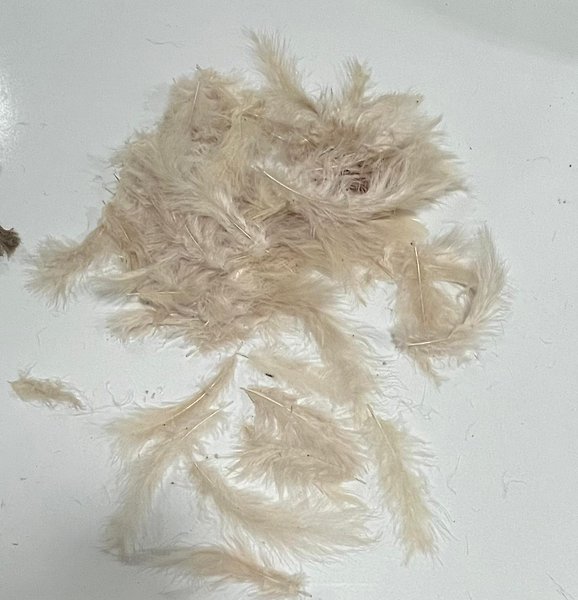KAPİÇİNO TÜY 10/15 CM 100 ADT